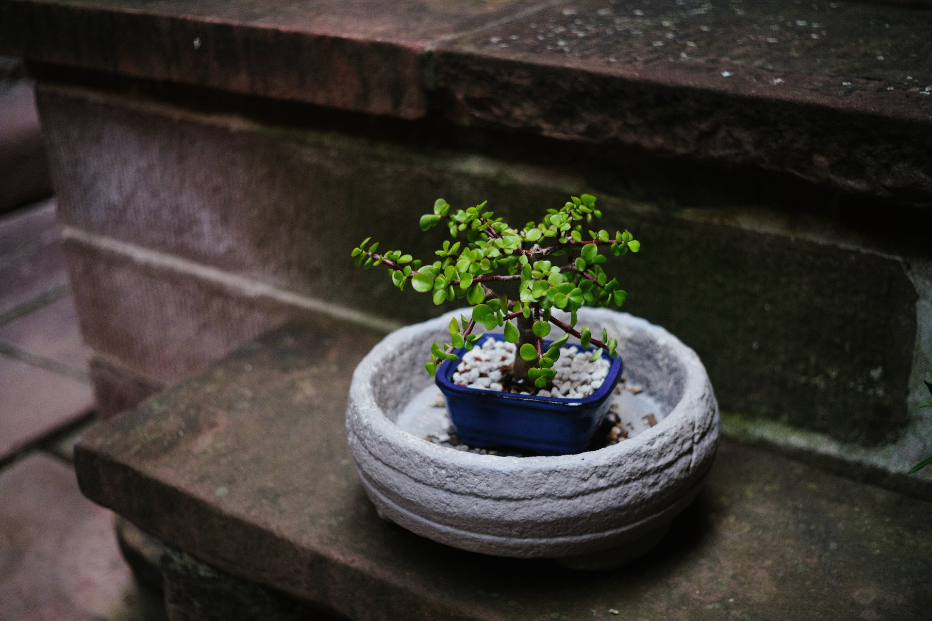 Peabody Essex Museum